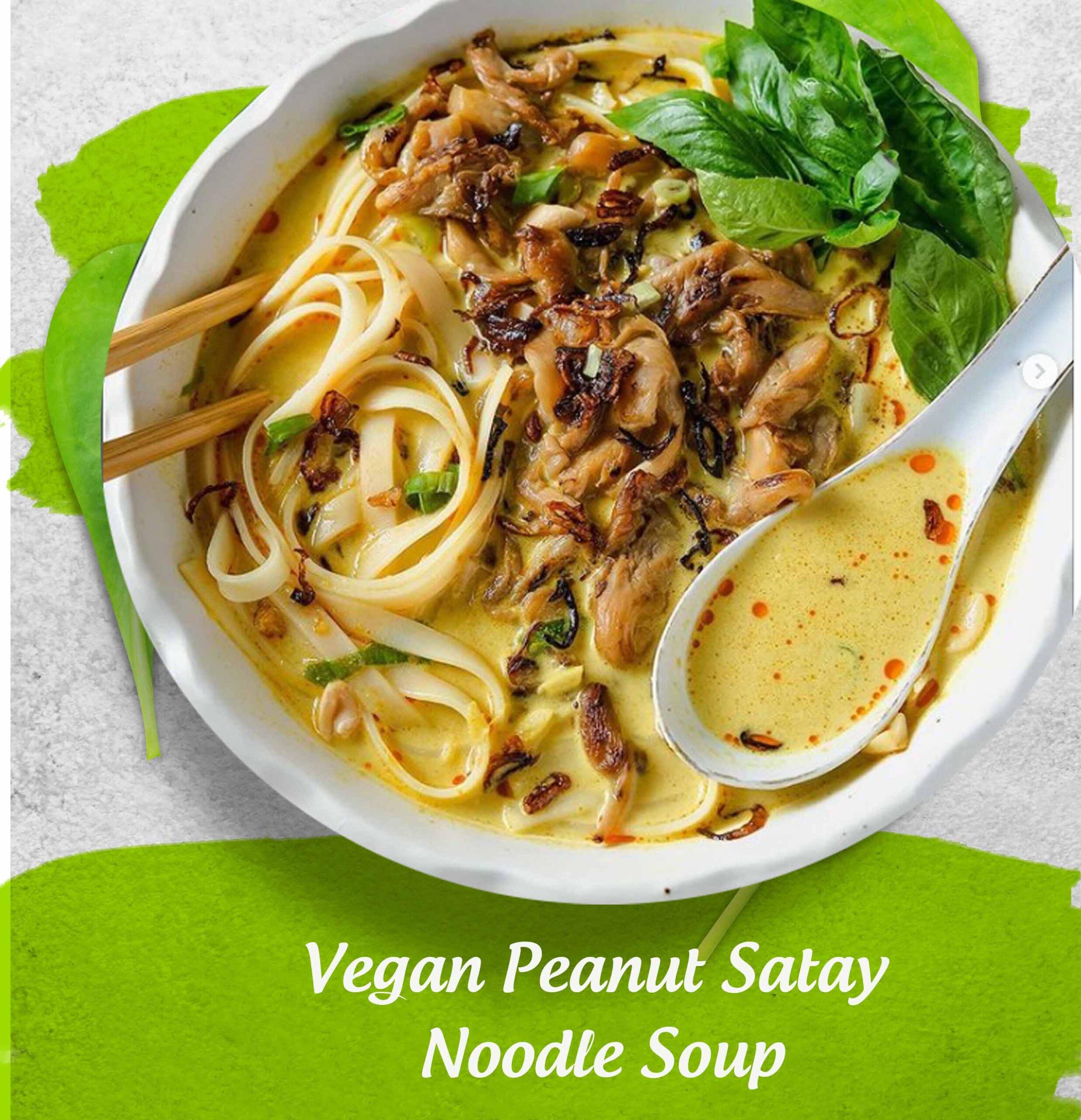 Vegan Peanut Satay Noodle Soup
