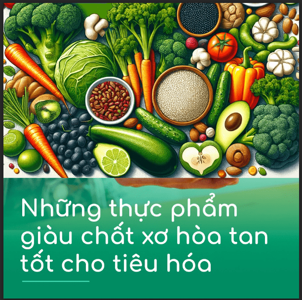 nhóm vitamin hoà tan - cung cấp lượng chất xơ cần thiết cho cơ thể